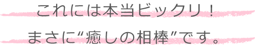 これには本当ビックリ!まさに“癒しの相棒”です。